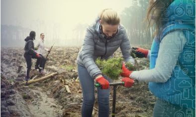 W Kuźnikach powstał Las 3mk Protection